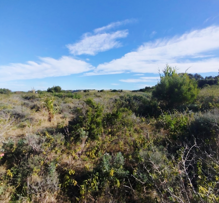 0 Bedroom Property for Sale in West Bank Eastern Cape